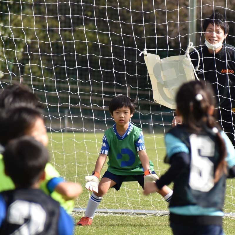 試合をする様子